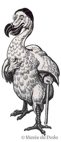 Dodo-Tenniel