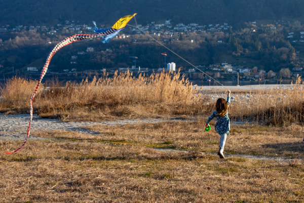 Cerf volant