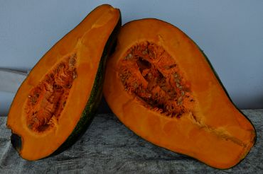 Cucurbita moschata