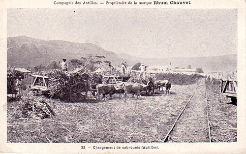 Carte postale ancienne de Martinique.