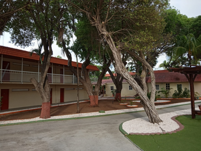 Ede Ayiti